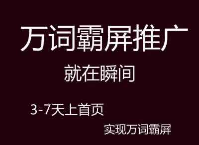 網站制作_在線制作舉牌照網站_制作賣東西網站