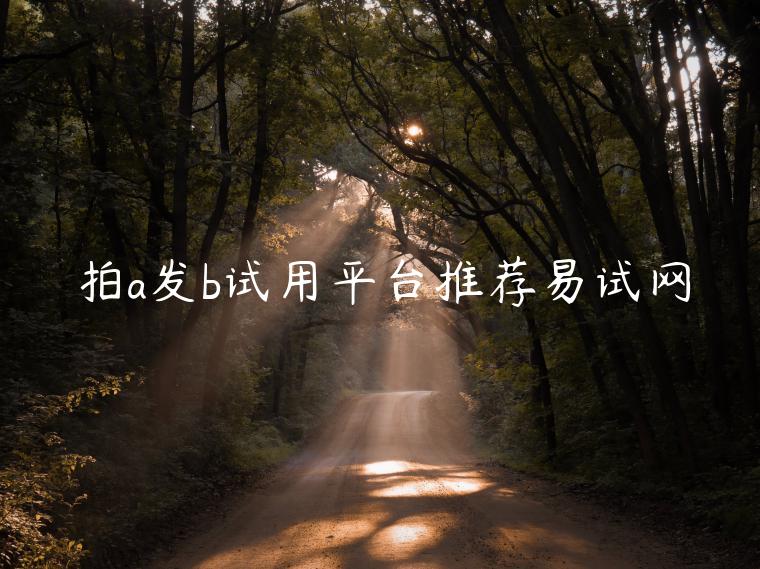 拍a發b試用平臺推薦易試網