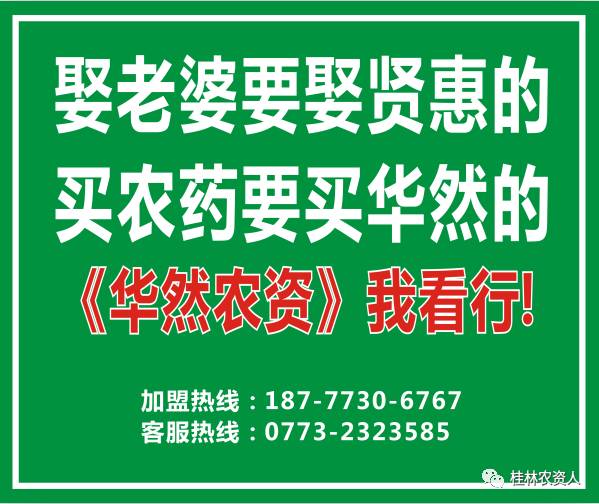 電信號虛擬號段_電信手機(jī)卡虛擬號_電信177是虛擬手機(jī)號嗎