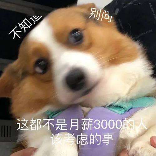 做網頁工資高嗎_工資能網頁拿設計工資嗎_網頁設計能拿多少工資