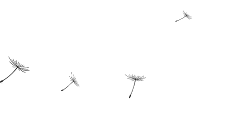現(xiàn)在進行時態(tài)導入_現(xiàn)在進行時的幽默導入_現(xiàn)在進行時講課怎么引入