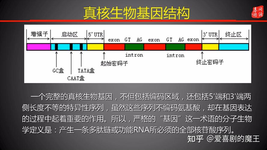 識別能庫格式數據的方法有_識別能庫格式數據的軟件_不能識別的數據庫格式