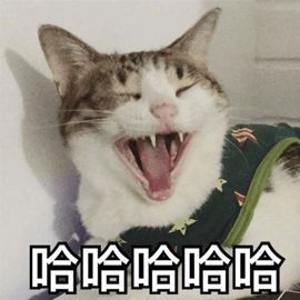 強(qiáng)制復(fù)制網(wǎng)頁(yè)文字插件_強(qiáng)制粘貼網(wǎng)頁(yè)文字_強(qiáng)制復(fù)制網(wǎng)頁(yè)文字軟件