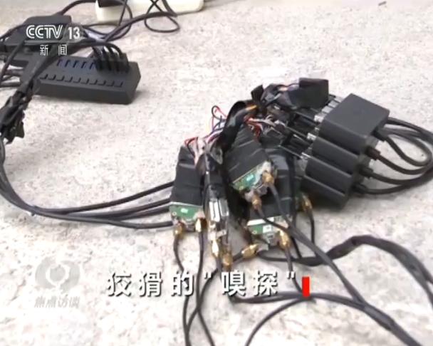 電信收不到短信驗證碼_電信收短信驗證碼要錢嗎_電信驗證碼短信收到了怎么辦