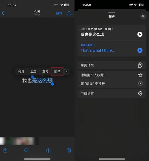 手機(jī)自動翻譯器下載_手機(jī)自動翻譯的軟件_手機(jī)版自動翻譯